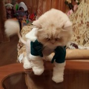 Михаил Низовцев on My World.
