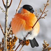 Костя !!! on My World.
