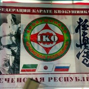 Федерация каратэ-до киокушинкай чеченской республики группа в Моем Мире.