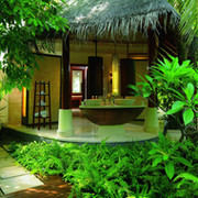 Big Paradise  on My World.