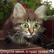 авдеев борис on My World.