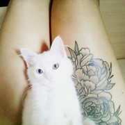 Мила Алиева on My World.