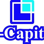 Лк групп. _L. компания. Эль капитал. Rocktree Capital logo. Linbol компания.