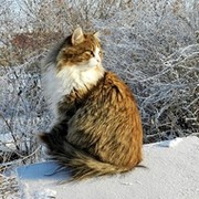 Евгения Алипова on My World.