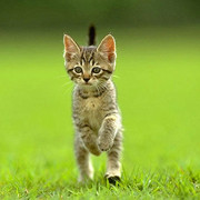 дмитрий кот on My World.