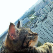 Елизавета Кочарян on My World.