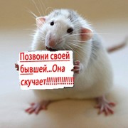 кузьма решетников on My World.