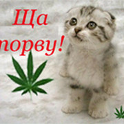 Александр Переверзев в Моем Мире.