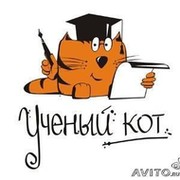 Учебный центр Ученый кот on My World.