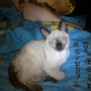 леха кот on My World.