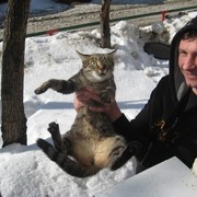 Александр Николаев on My World.