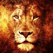 leon.velikolepnyy.73@mail.ru on My World.