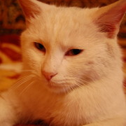 Ольга Литвиненко on My World.