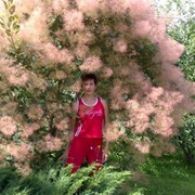 Елена Комарова on My World.