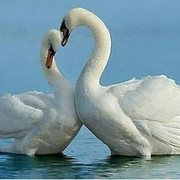 *Гульнара :)*** on My World.