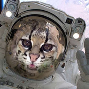 Маргай Кошка Дикая on My World.