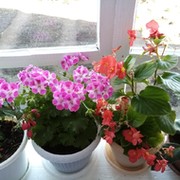 Модельная библиотека им.Я. Хамматова села Серменево on My World.