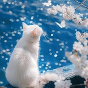 NEM** - on My World.