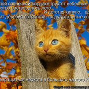 Константин Чупров on My World.