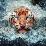 Алексей Орехов on My World.
