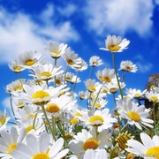 Оксана Зуева on My World.
