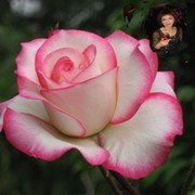 Маргарита Ли(Ким) on My World.