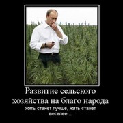 Константин Фомичев on My World.