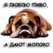 артем сысоев on My World.