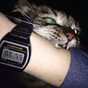 Настя Кот on My World.