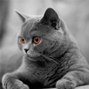 Сергей Котков on My World.