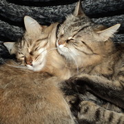 Татьяна Теплова on My World.