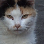 ,Евгений Батаев on My World.