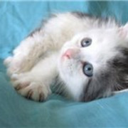 Тот Который on My World.