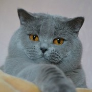валерий бордулёв on My World.