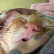 Иван Кошкин on My World.
