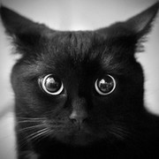 Чёрный Кот on My World.