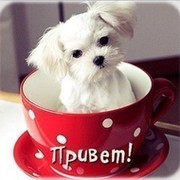 валик валикович on My World.